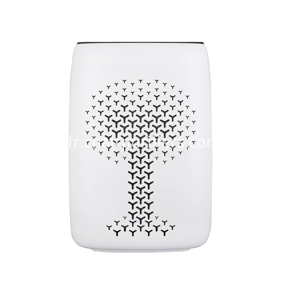 Utilisation du fumeur Air Purifeir 400 Smoker Use Air Purifeir 400